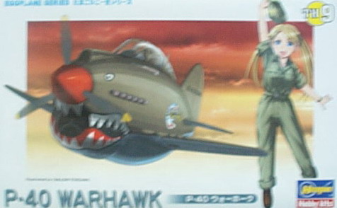 蛋機60119  P-40 WARHAWK