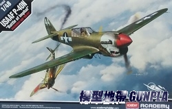 AC12341 1/48 USAAF P-40N