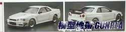 AO053652 1/24 MINES SKYLINE GT-R